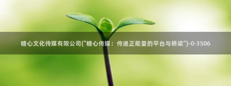 糖心 vlog破解版：糖心文化传媒有限公司(\