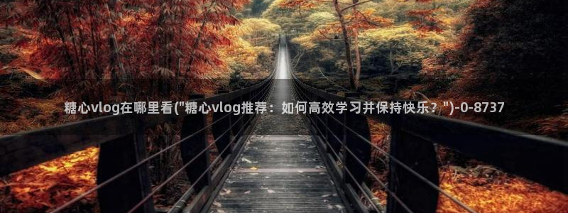 9糖心vlog：糖心vlog在哪里看(\