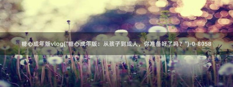 糖心vlog高清：糖心成年版vlog(\