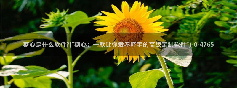 糖心vlog免费eye：糖心是什么软件?(\