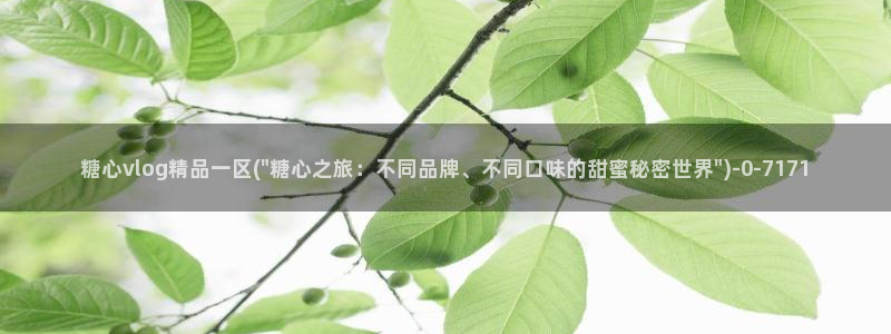 糖心vlog后入：糖心vlog精品一区(\