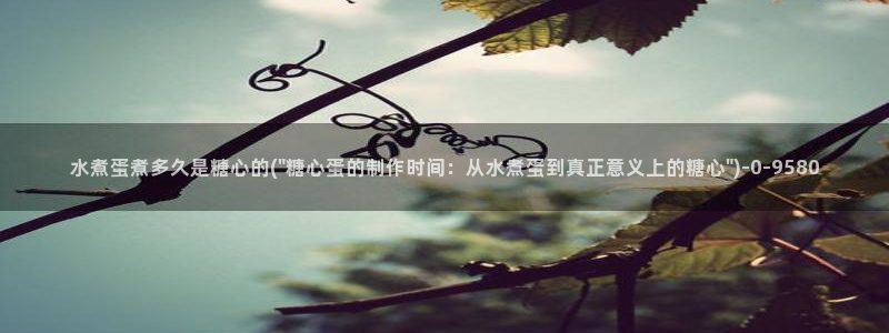 糖心vlog视频免费在线观看：水煮蛋煮多久是糖心的(\
