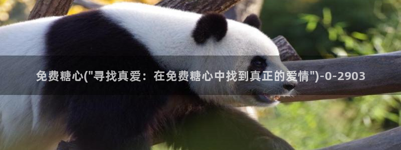 糖心vlog免费版观看